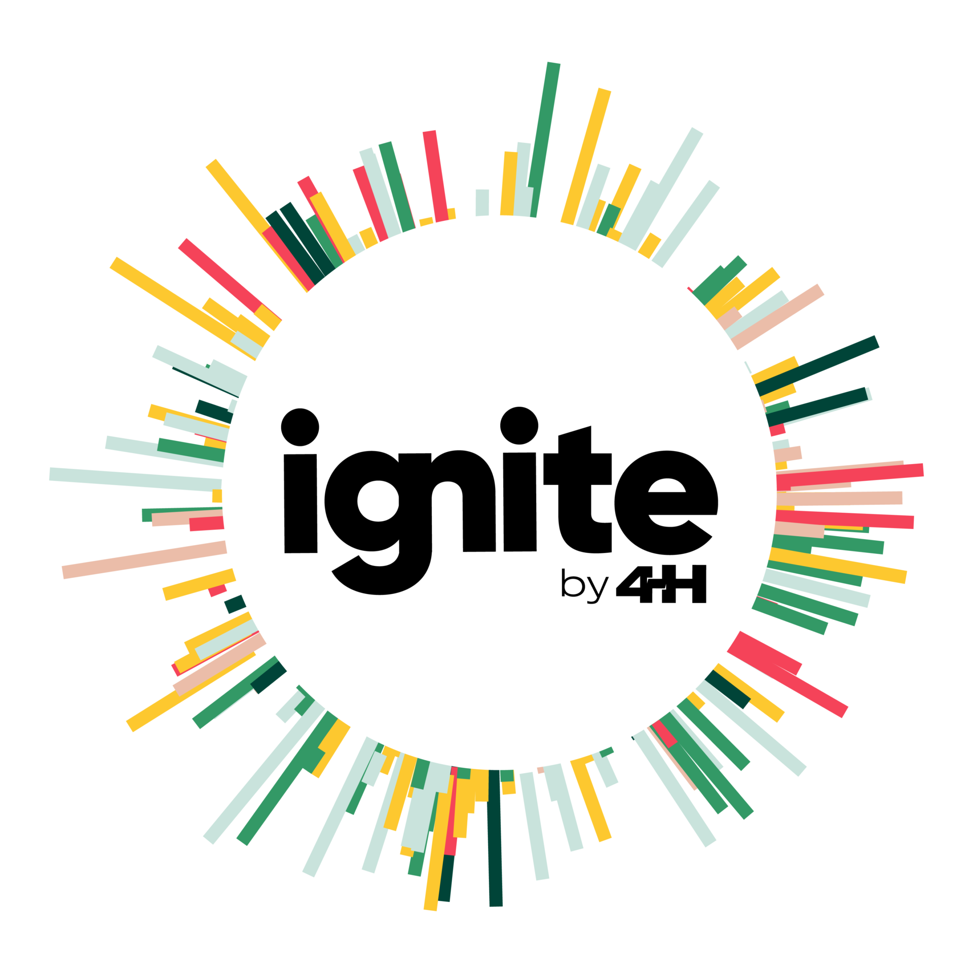 Company name logo
